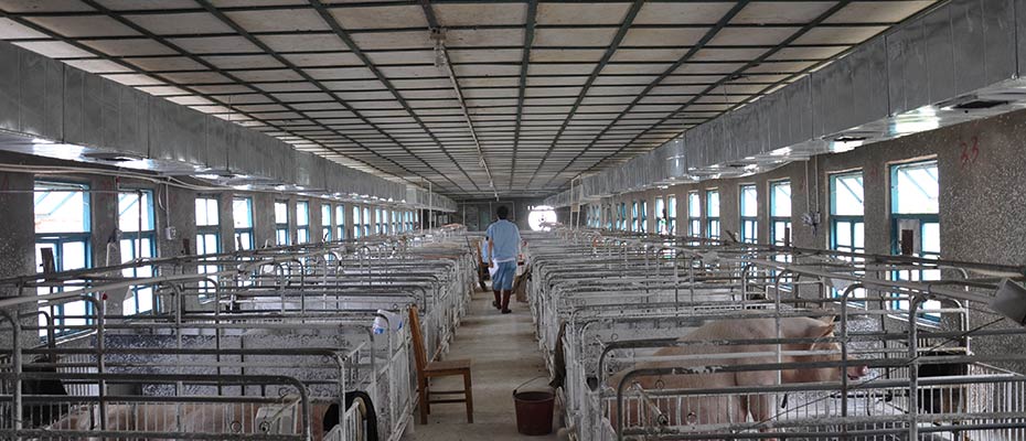 東莞環(huán)保空調安裝